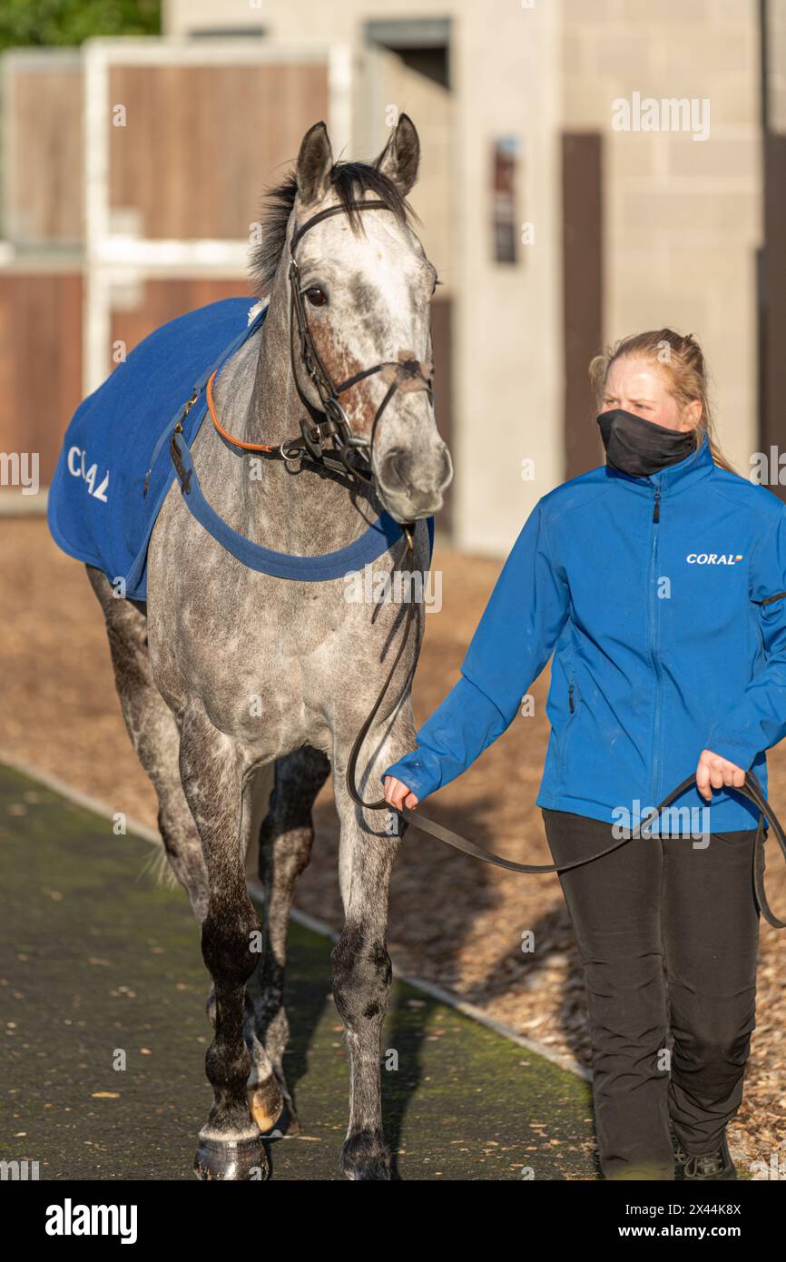 Fifth race at Wincanton - handicap steeple chase, Thursday, January ...