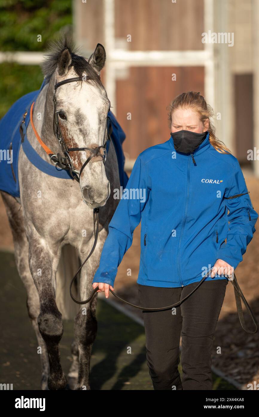 Fifth race at Wincanton - handicap steeple chase, Thursday, January ...