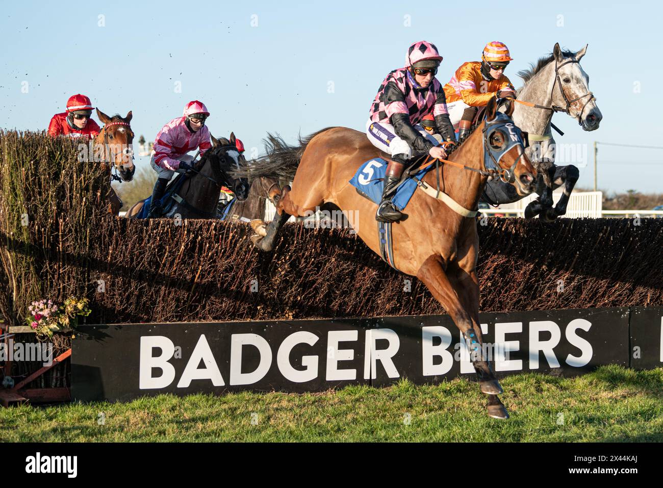 Fifth race at Wincanton - handicap steeple chase, Thursday, January ...