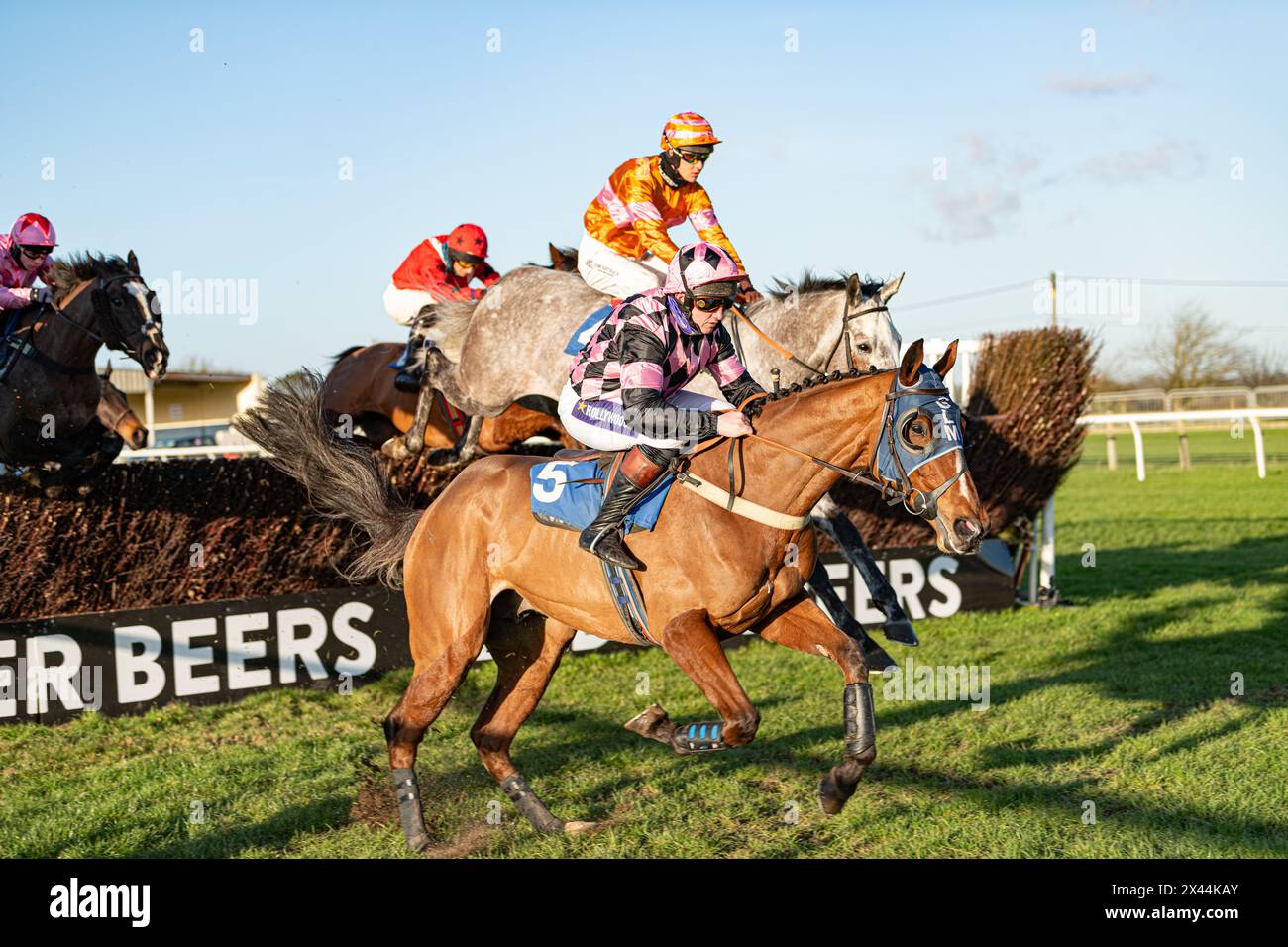 Fifth race at Wincanton - handicap steeple chase, Thursday, January ...