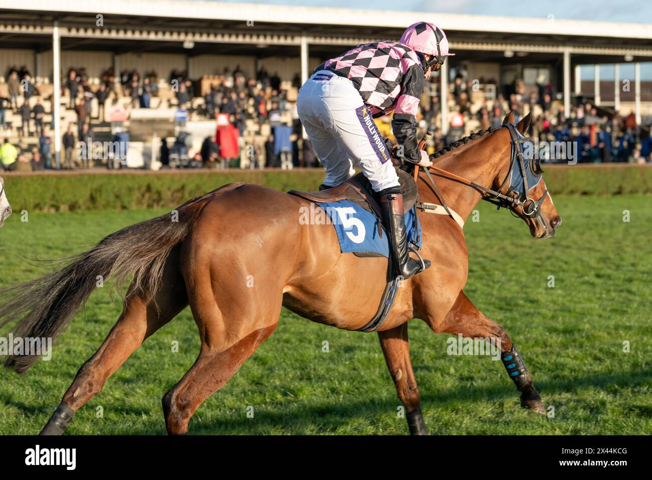Fifth race at Wincanton - handicap steeple chase, Thursday, January ...