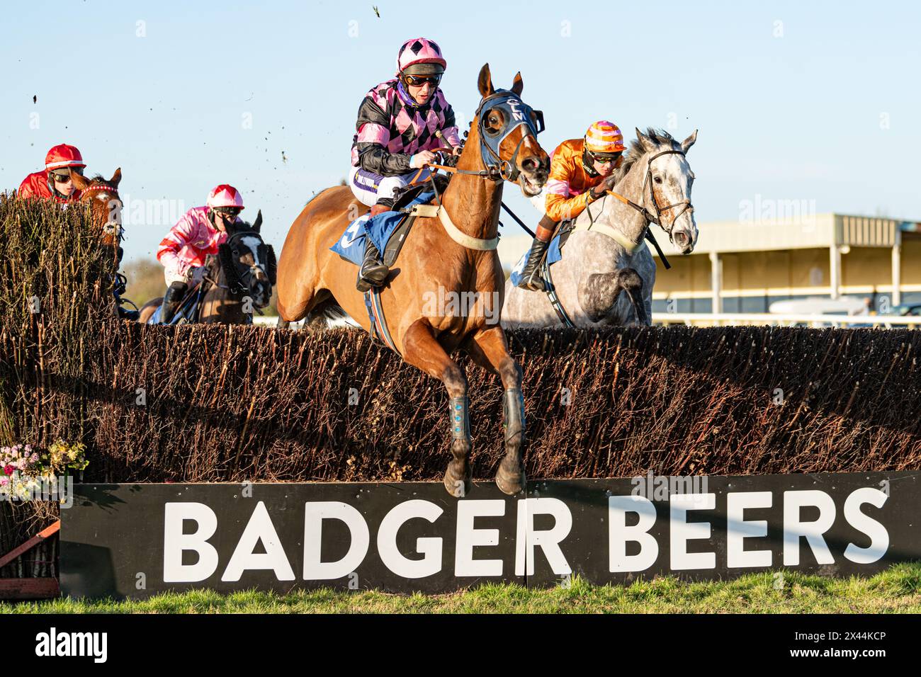 Fifth race at Wincanton - handicap steeple chase, Thursday, January ...