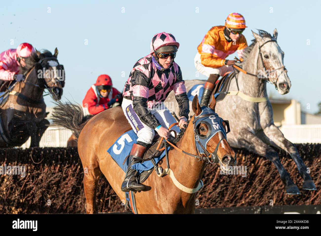 Fifth race at Wincanton - handicap steeple chase, Thursday, January ...