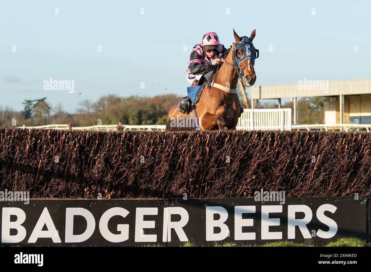 Fifth race at Wincanton - handicap steeple chase, Thursday, January ...