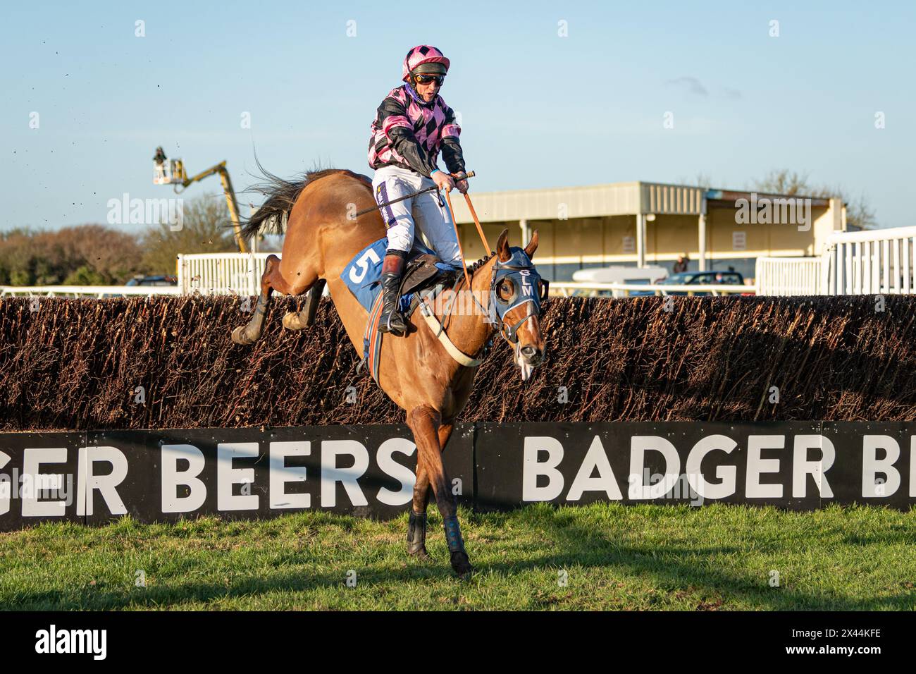 Fifth race at Wincanton - handicap steeple chase, Thursday, January ...