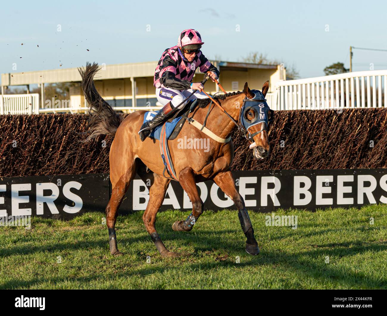 Fifth race at Wincanton - handicap steeple chase, Thursday, January ...
