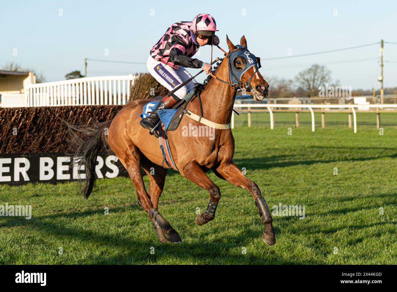 Fifth race at Wincanton - handicap steeple chase, Thursday, January ...