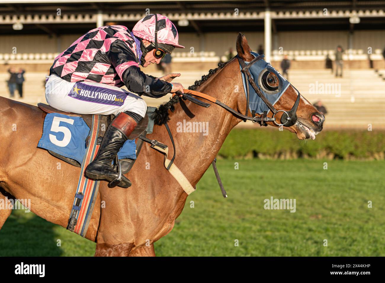 Fifth race at Wincanton - handicap steeple chase, Thursday, January ...