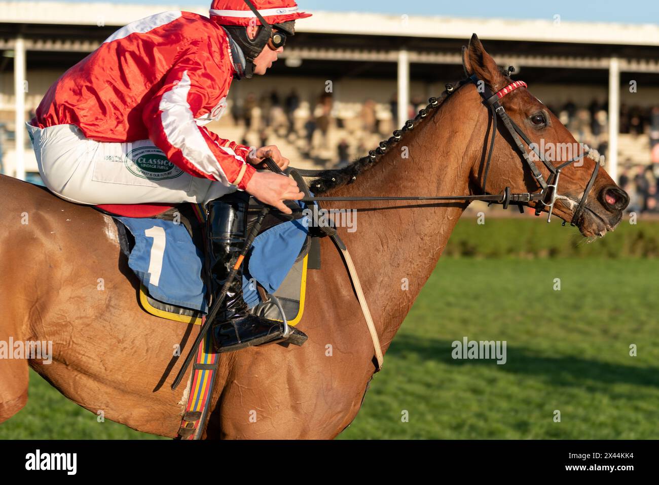 Fifth race at Wincanton - handicap steeple chase, Thursday, January ...