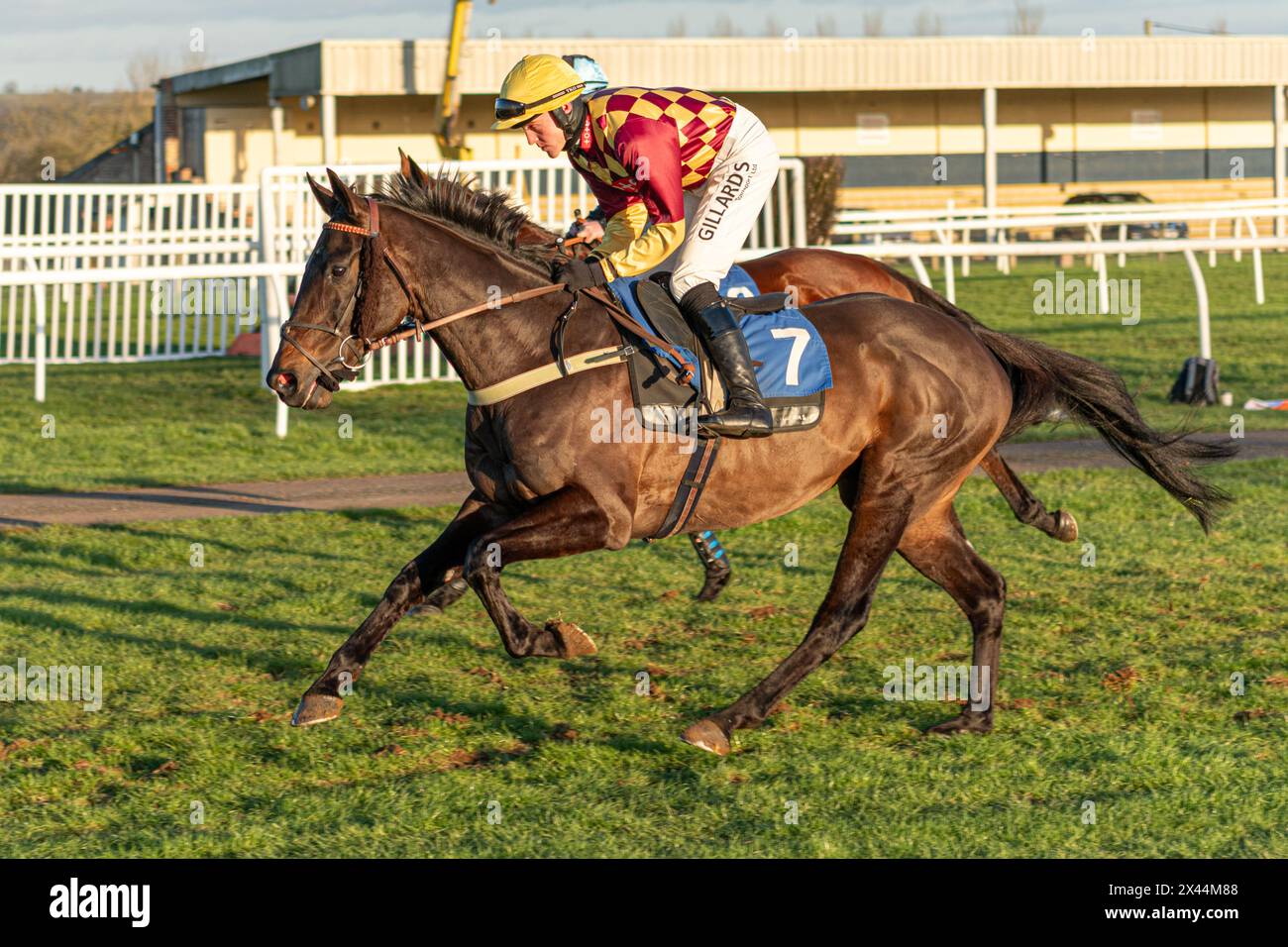 Sixth race at Wincanton - Handicap Steeple Chase - Thursday January ...