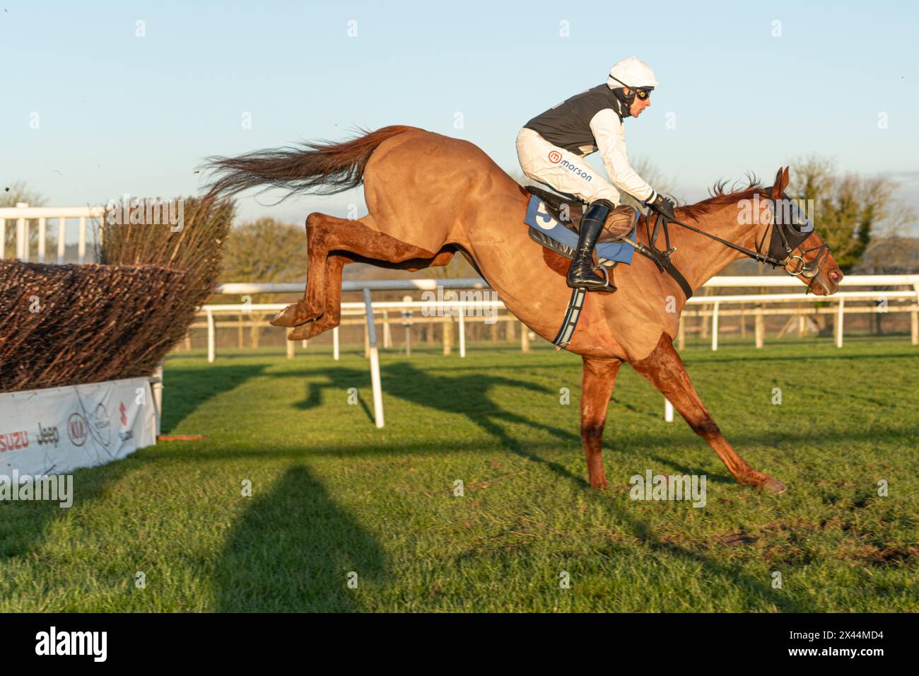 Sixth race at Wincanton - Handicap Steeple Chase - Thursday January ...