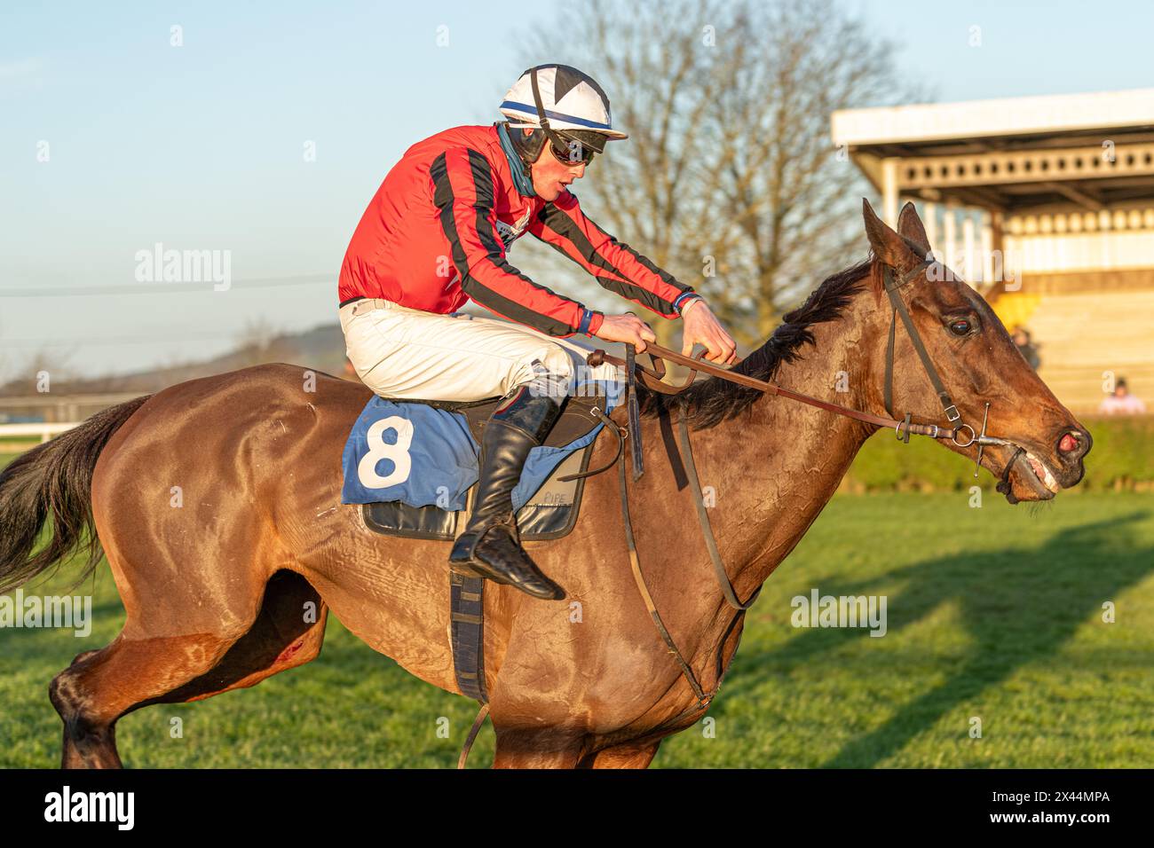 Sixth race at Wincanton - Handicap Steeple Chase - Thursday January ...