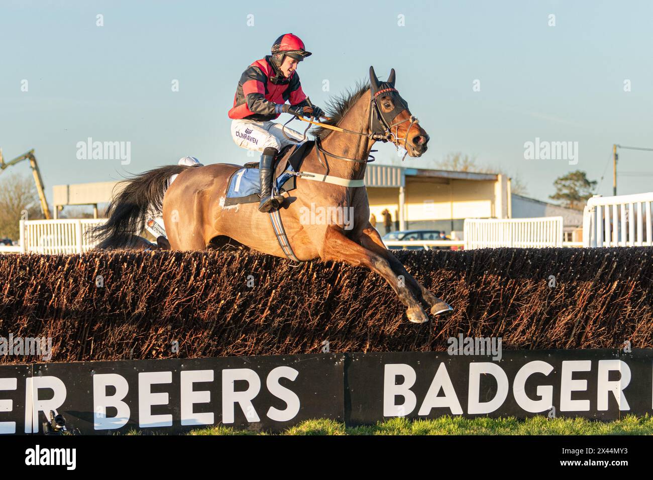 Sixth race at Wincanton - Handicap Steeple Chase - Thursday January ...