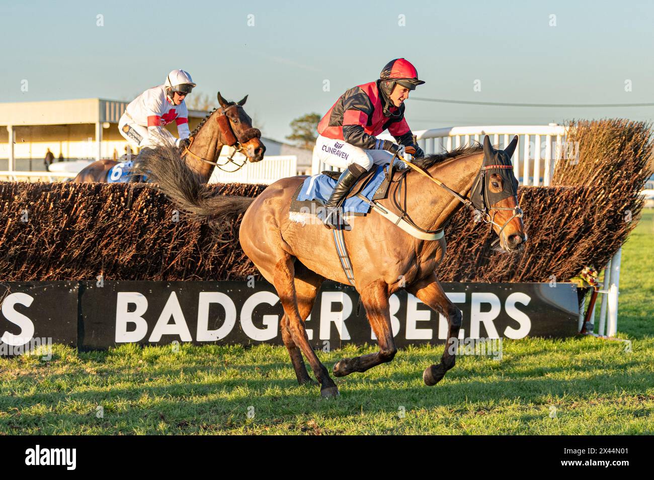 Sixth race at Wincanton - Handicap Steeple Chase - Thursday January ...