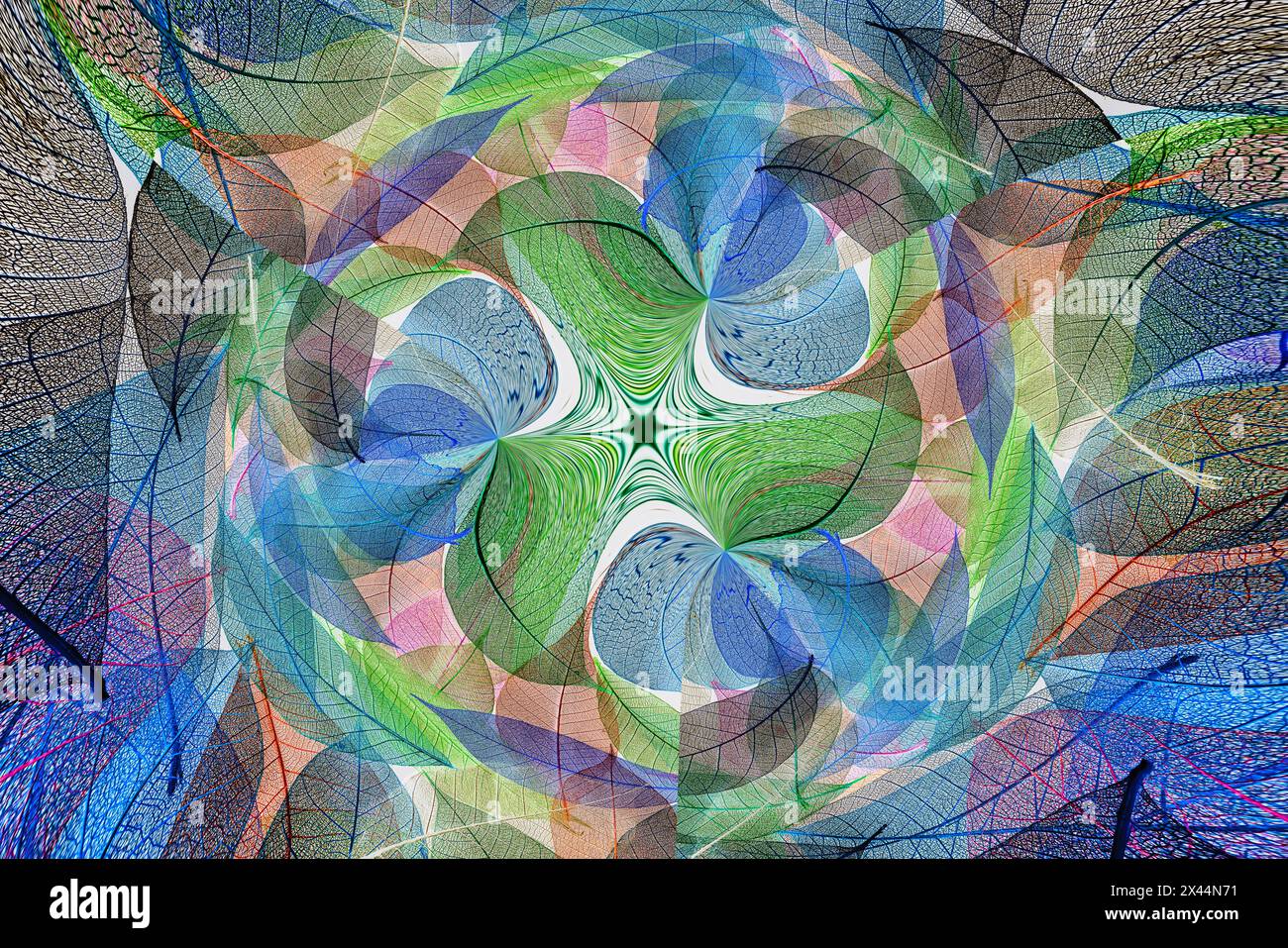 Multi-colored skeleton leaves arranged on white background Stock Photo