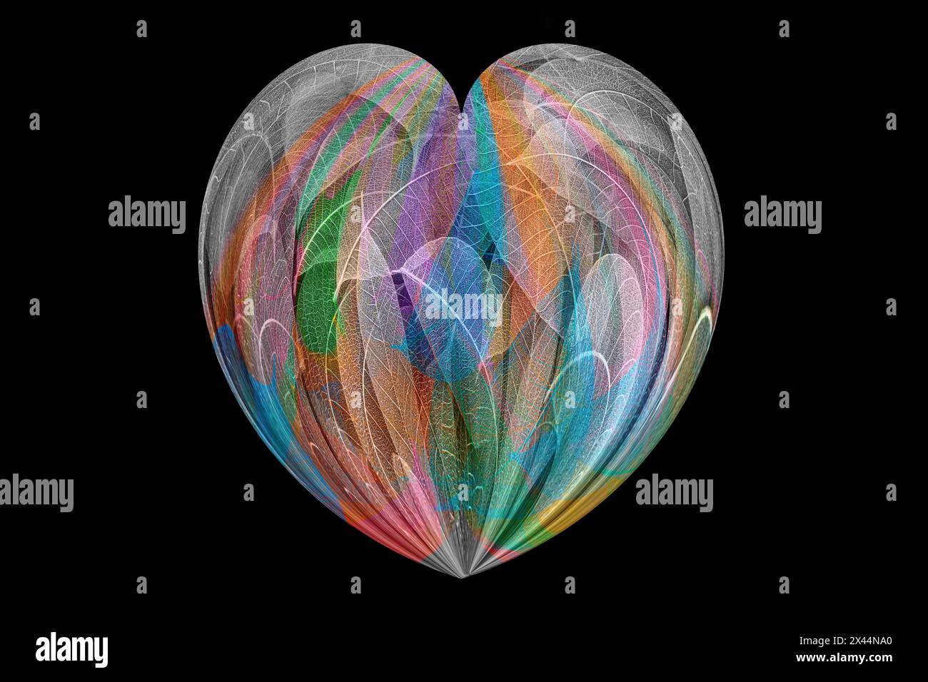 Multi-colored skeleton leaves arranged on black background Stock Photo