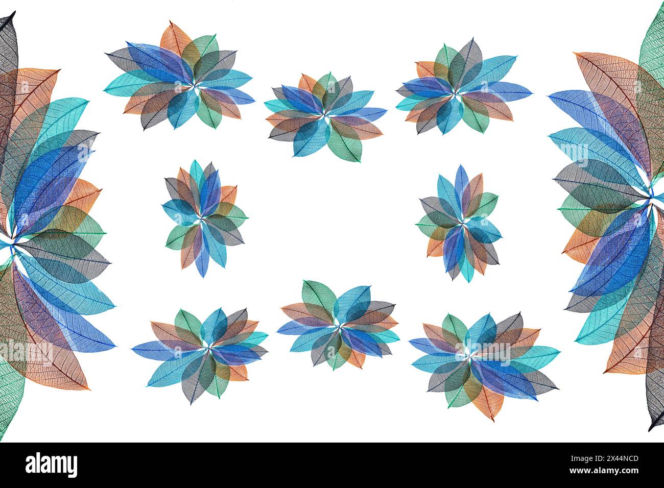 Multi-colored skeleton leaves arranged on white background Stock Photo