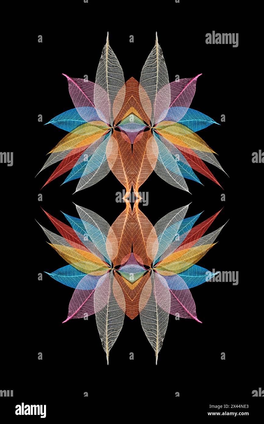 Multi-colored skeleton leaves arranged in radial pattern Stock Photo