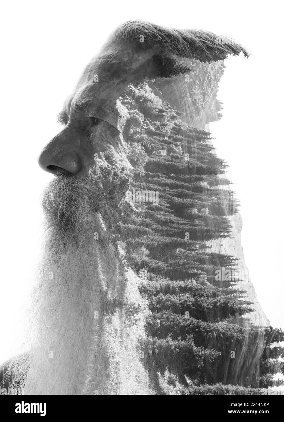 A black and white double exposure profile portrait of an old man with a ...