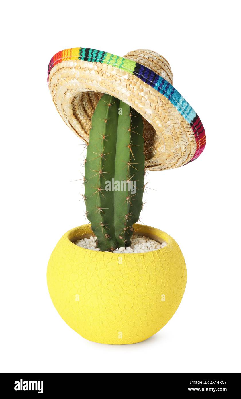 Mexican sombrero hat hi-res stock photography and images - Page 20 - Alamy, image size:841x1390