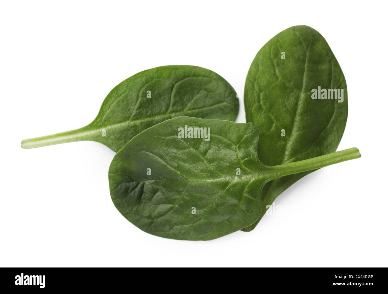 Three fresh spinach leaves isolated on white Stock Photo - Alamy