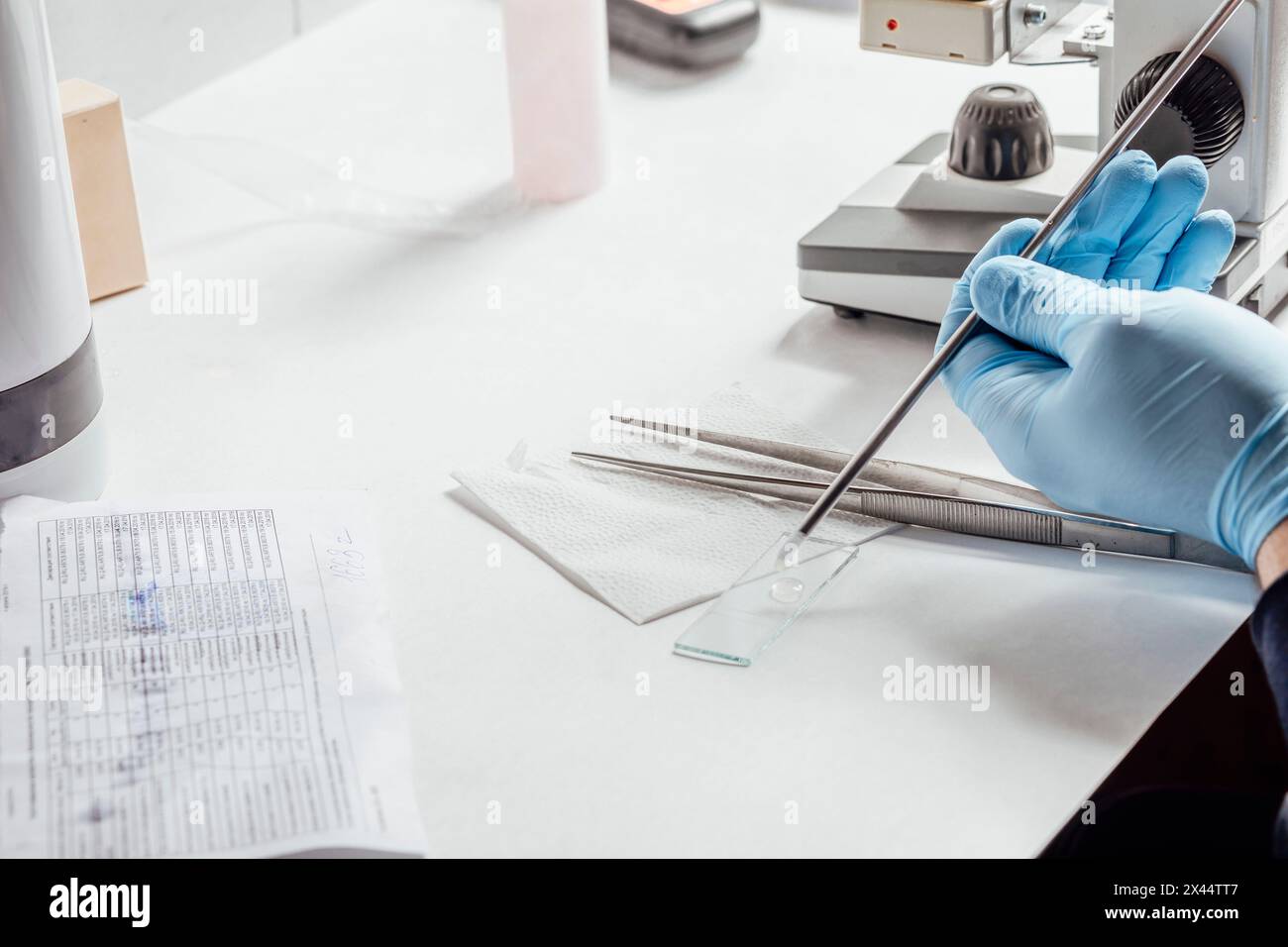 laboratory technician engaged in setting up experiment, indicative of ongoing research and continuous learning that characterizes scientific field Stock Photo