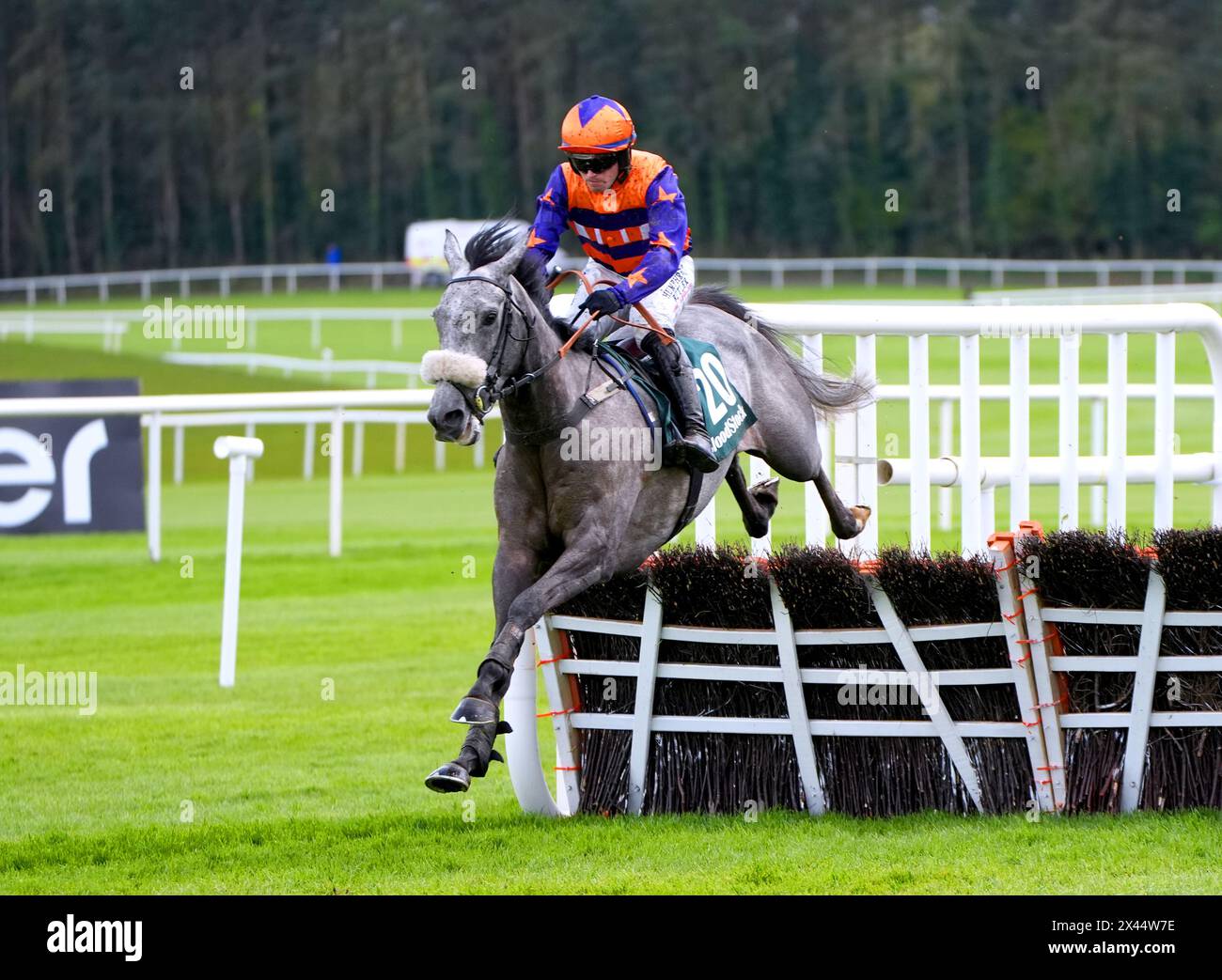Tune In A Box ridden by jockey Richard Patrick on their way to winning the Blood-Stock.com Full Circle Series Final Handicap Hurdle during day one of the Punchestown Festival at Punchestown Racecourse, County Kildare. Picture date: Tuesday April 30, 2024. Stock Photo