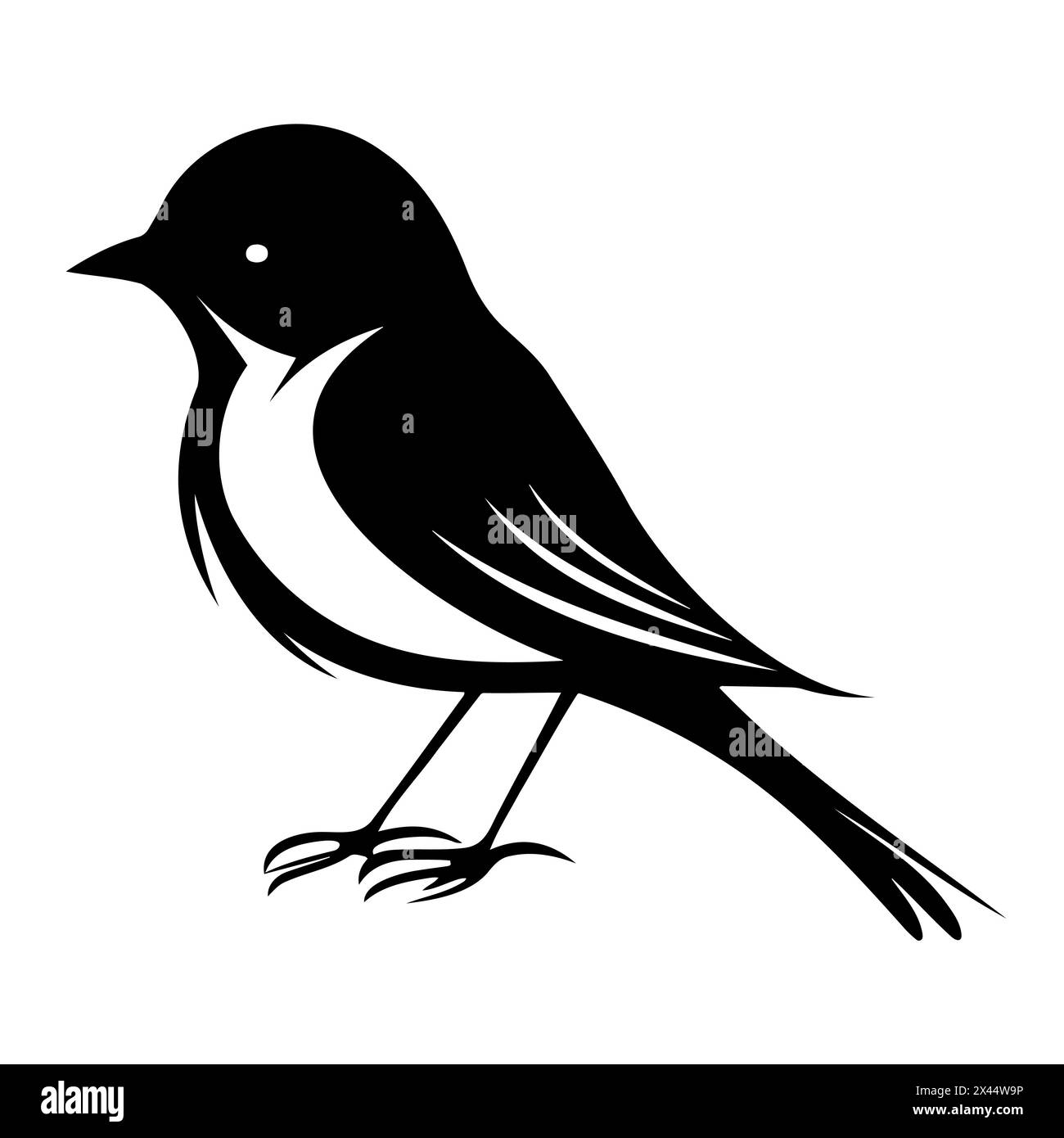 A monochrome illustration of a bird with a long tail perched on a twig Stock Vector