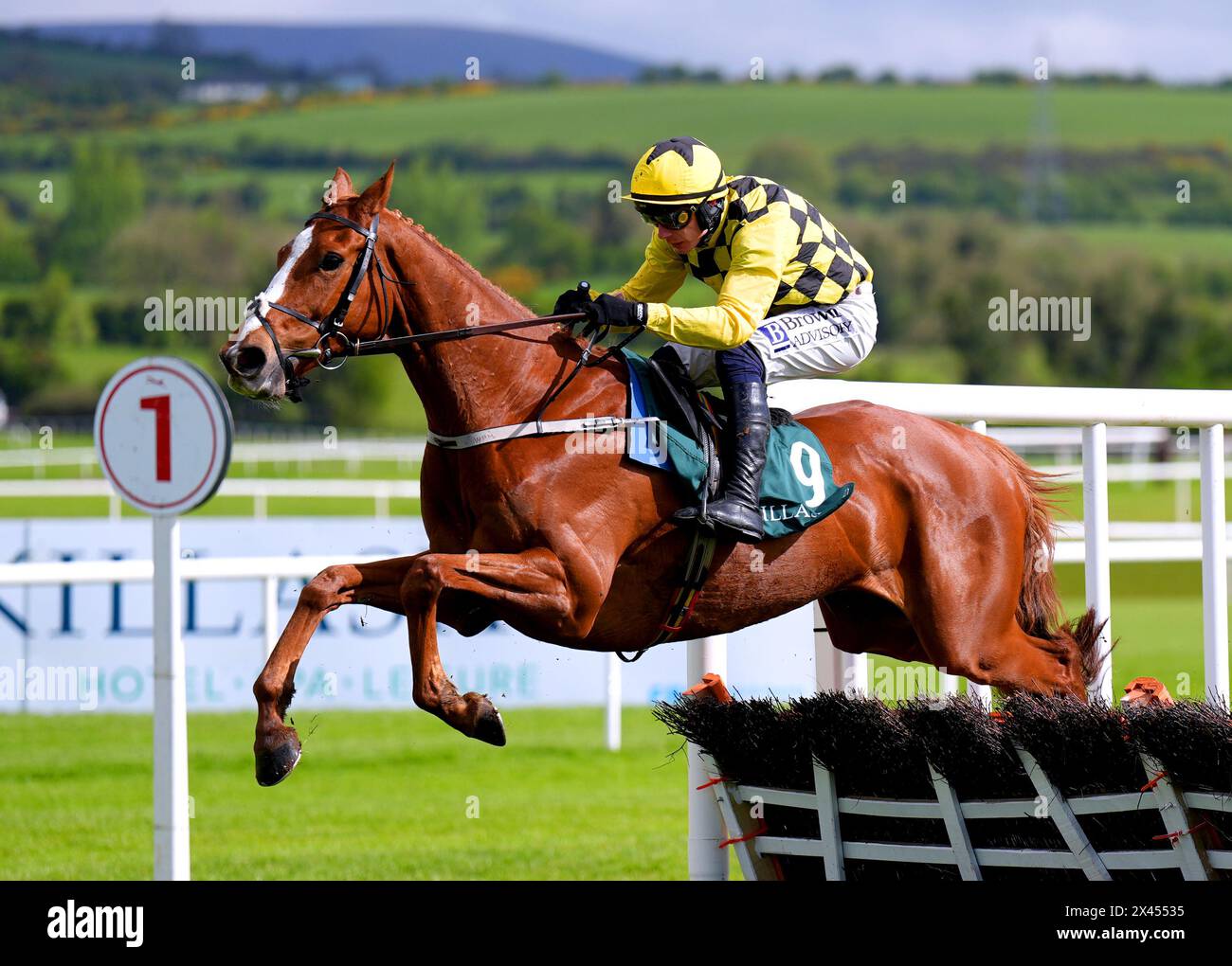 Daddy Long Legs ridden by jockey Paul Townend on their way to winning the Killashee Hotel Handicap Hurdle during day one of the Punchestown Festival at Punchestown Racecourse, County Kildare. Picture date: Tuesday April 30, 2024. Stock Photo