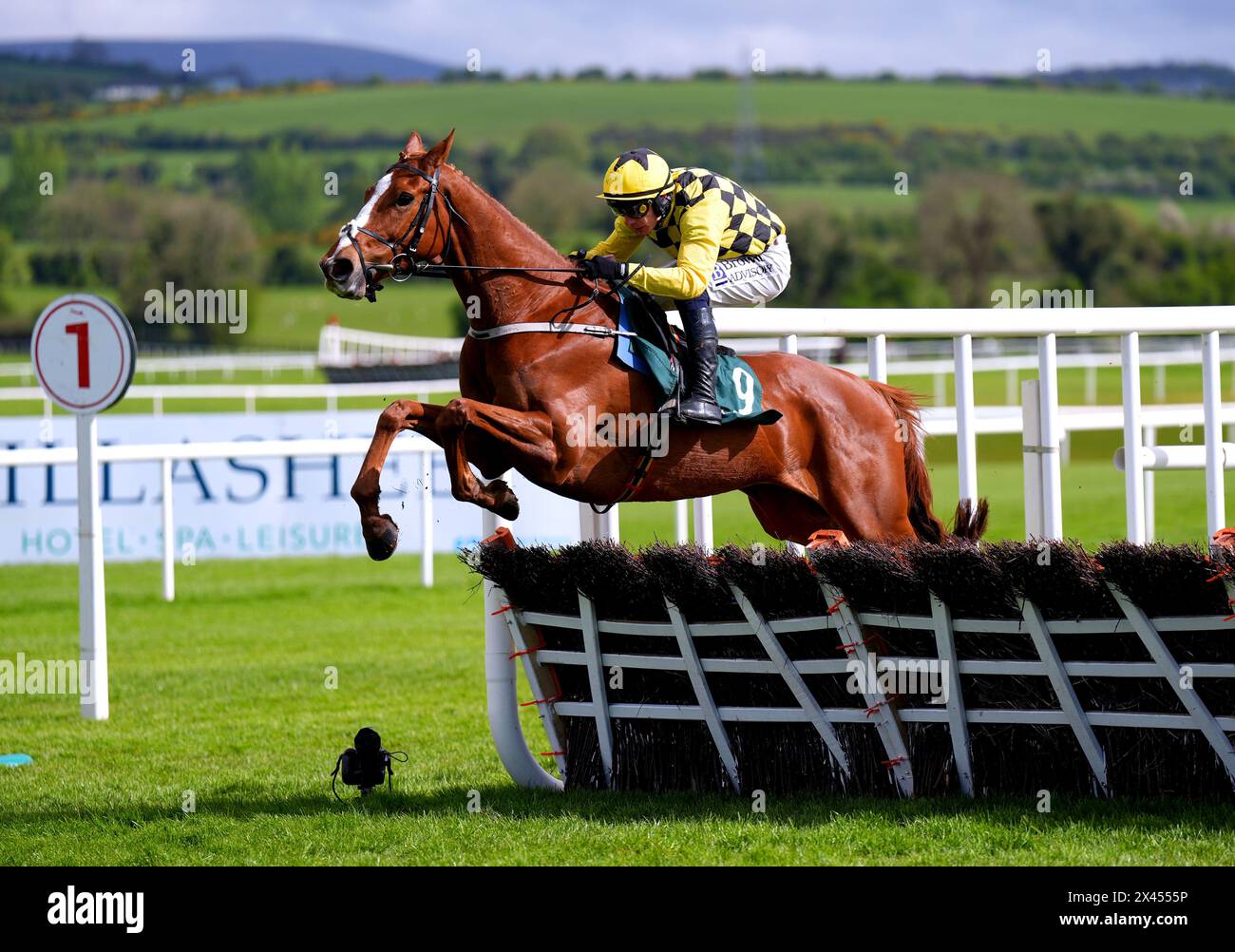 Daddy Long Legs ridden by jockey Paul Townend on their way to winning the Killashee Hotel Handicap Hurdle during day one of the Punchestown Festival at Punchestown Racecourse, County Kildare. Picture date: Tuesday April 30, 2024. Stock Photo