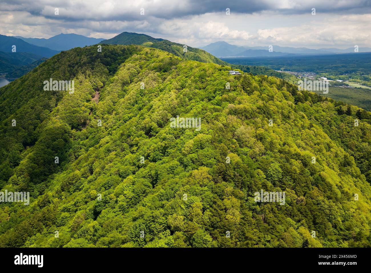 Aerial view of a mountain ridge covered in lush green forest next to a ...