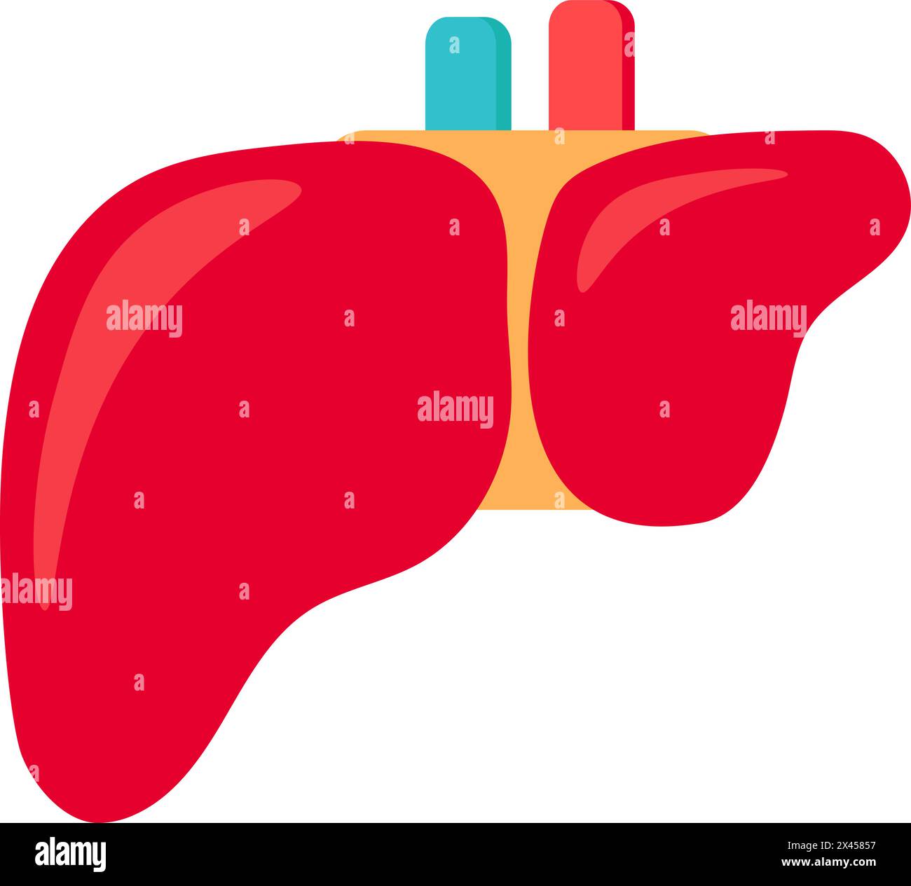 Healthy human liver icon. Filtering organ, medical stroked cartoon element for modern and retro design. Simple color vector pictogram isolated on whit Stock Vector