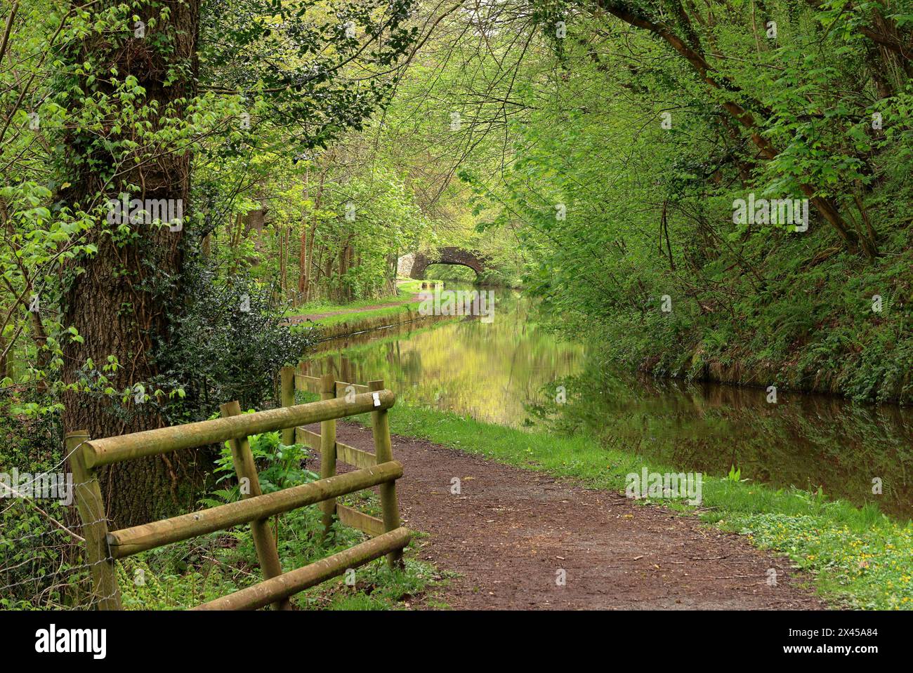 The Monmouth and Brecon Canal in the Brecon Beacons in South Wales Stock Photo