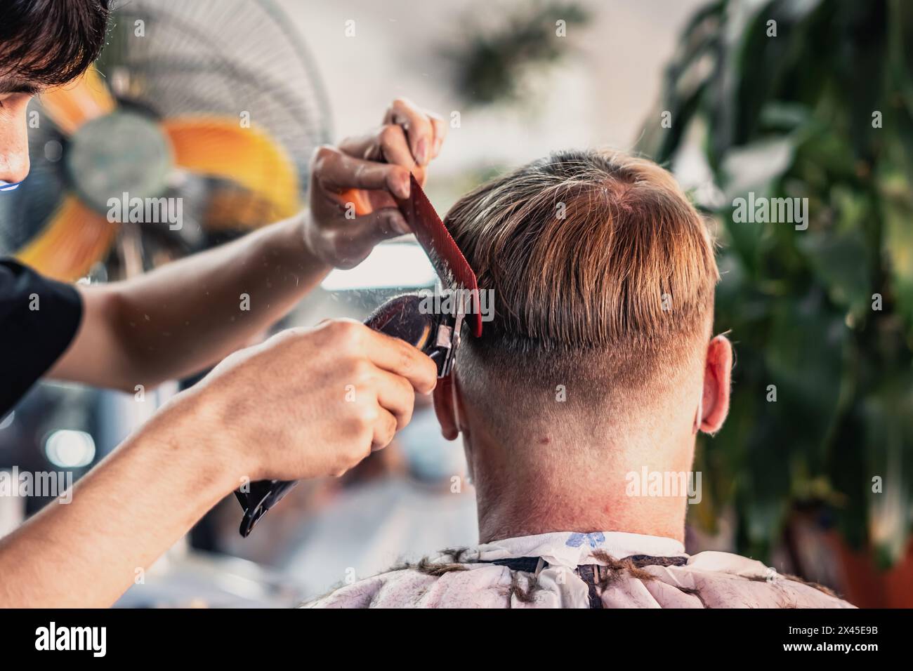 Neat young Vietnamese hairdresser makes haircut to male. Back view