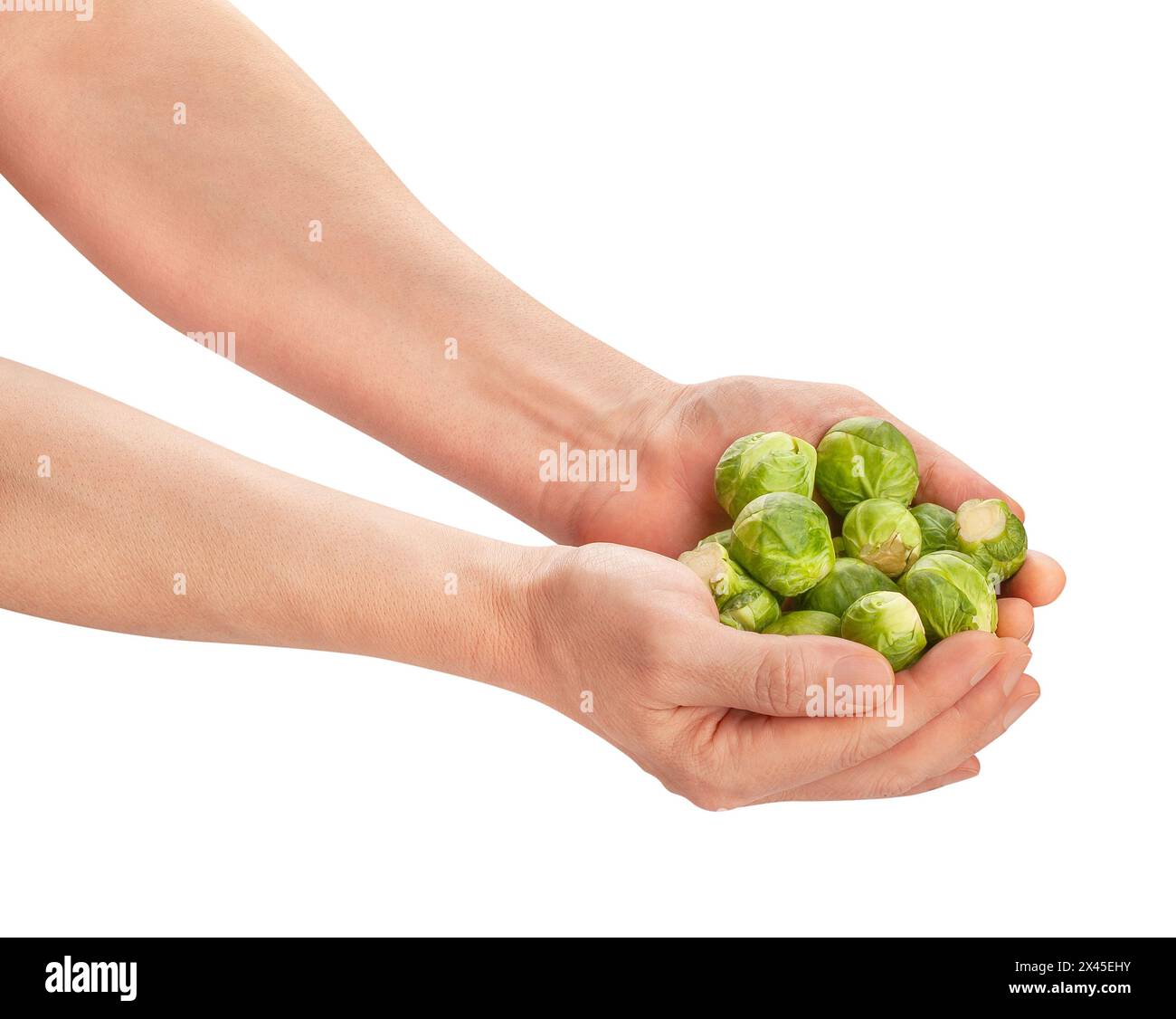 brussels sprouts in hand path isolated on white Stock Photo
