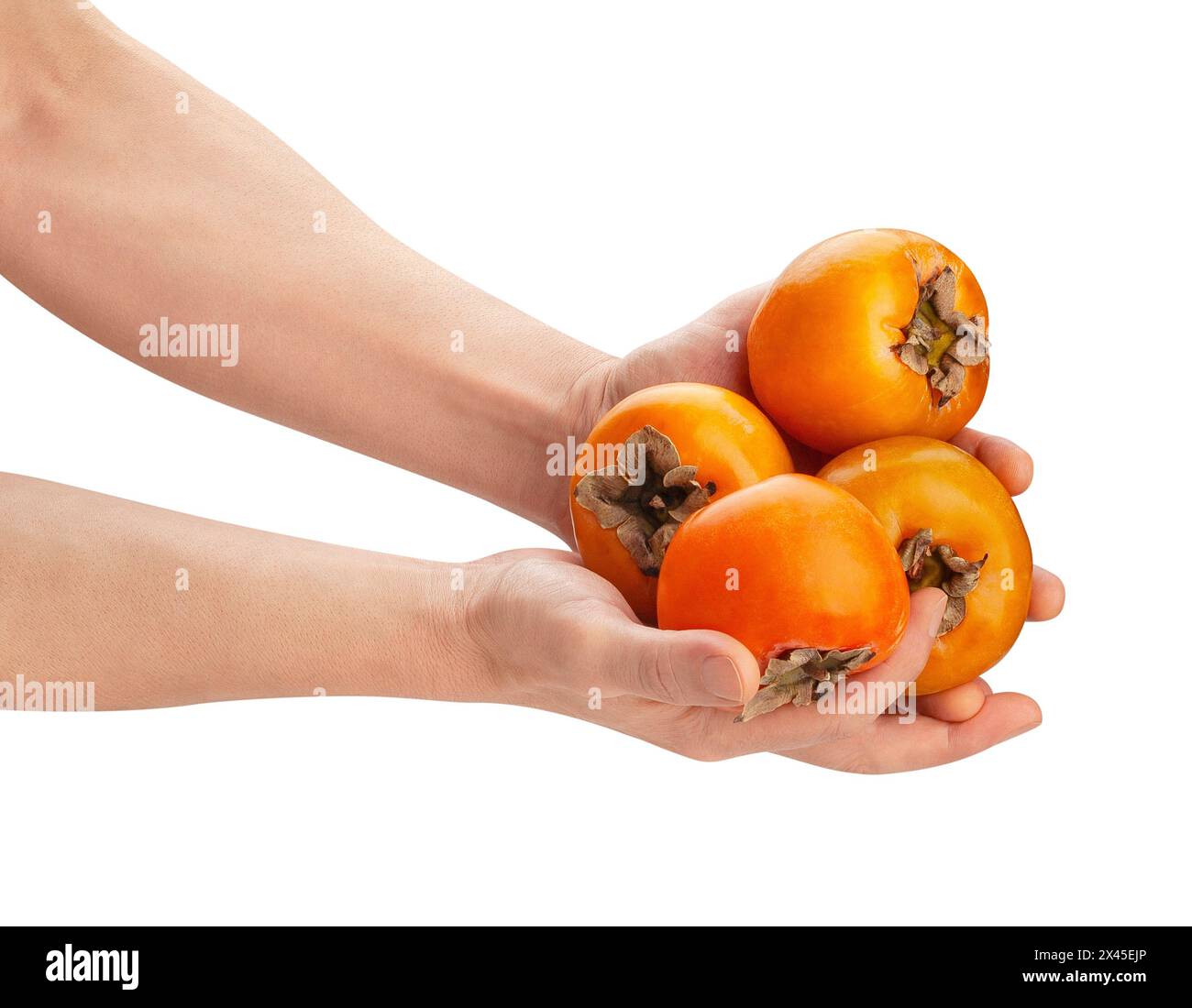 persimmon in hand path isolated on white Stock Photo