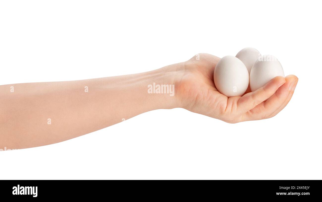 egg in hand path isolated on white Stock Photo