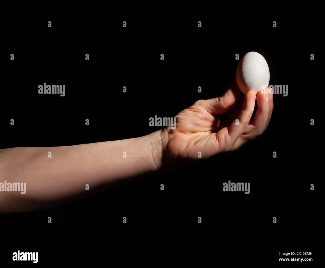 egg in hand on black background Stock Photo