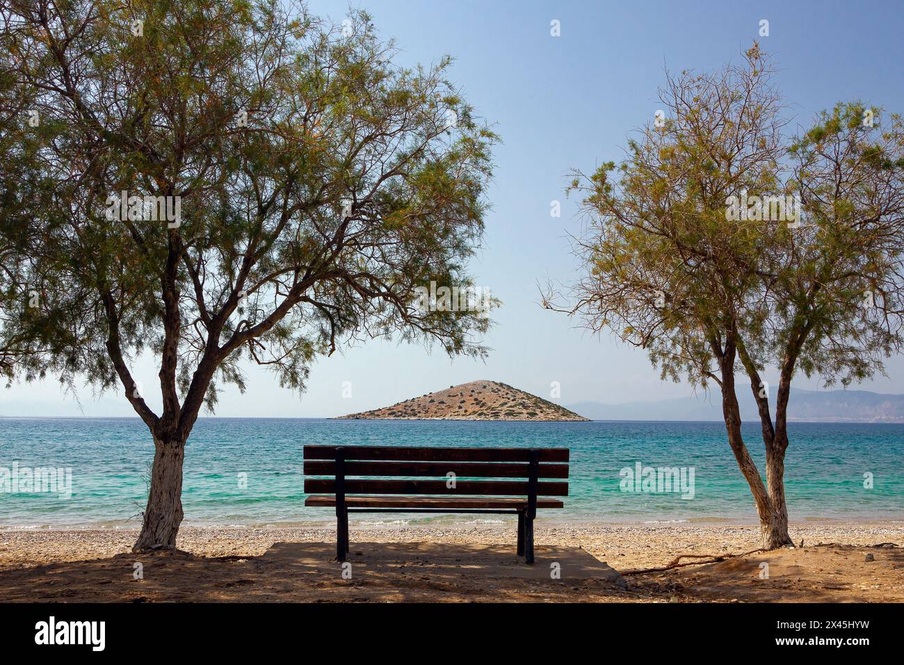 A wooden bench and two pine trees by the sea, during a sunny summer day, contemplating a small triangular shaped islet the Saronic gulf, in Salamina Stock Photo