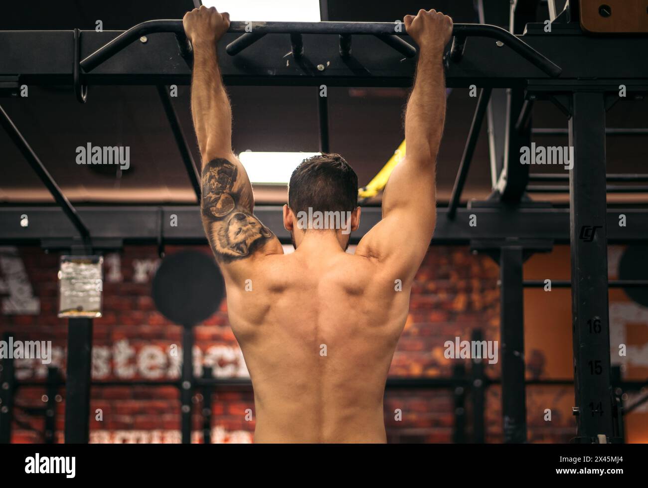 back view of a strong man doing pull ups in a gym Stock Photo