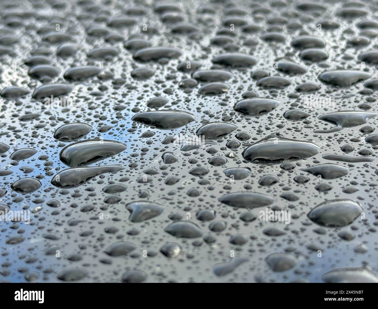A wet surface with many small drops of water scattered across it. Scene is calm and serene, as the drops of water seem to be falling gently and evenly Stock Photo
