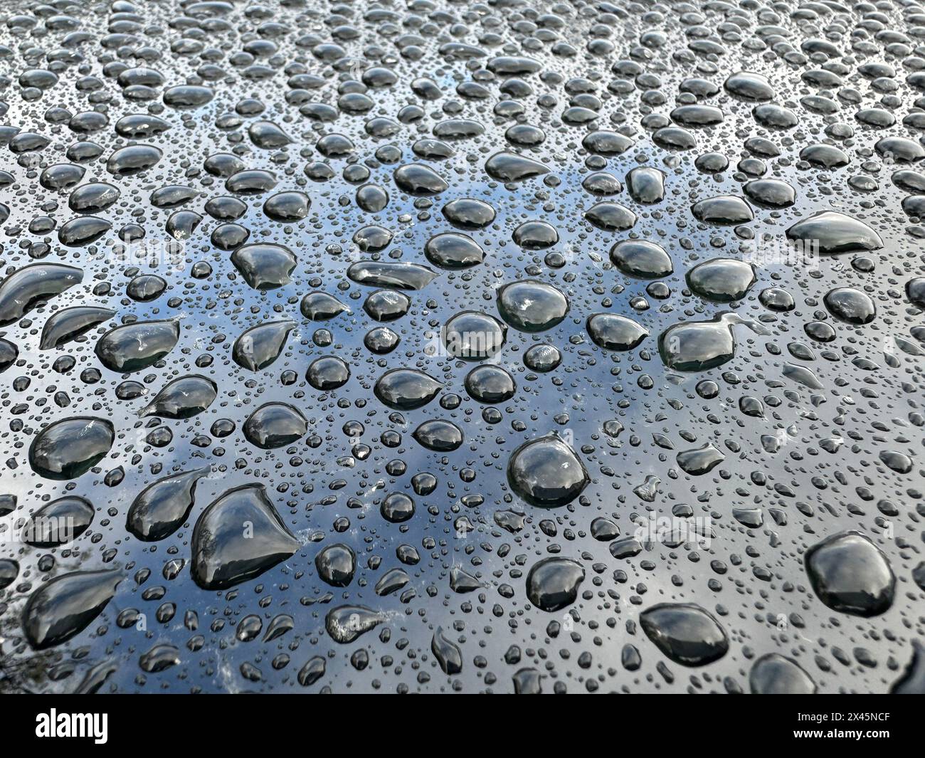 A wet surface with many small water droplets scattered across it. The droplets are of various sizes and are spread out in different directions, creati Stock Photo