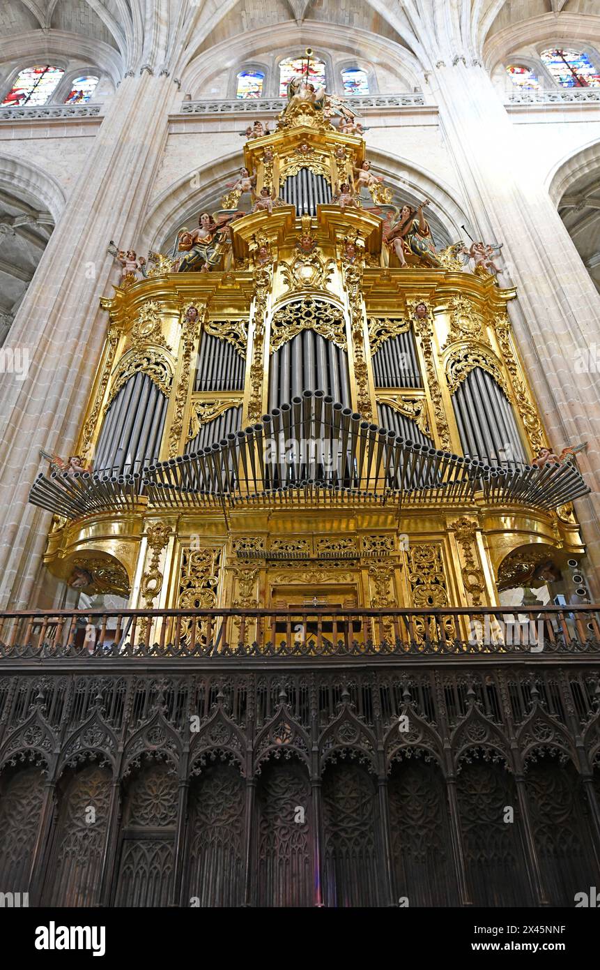 Segovia city, Cathedral (16th century, late gothic). Epistola pipe organ (1702). Castilla y Leon, Spain. Stock Photo