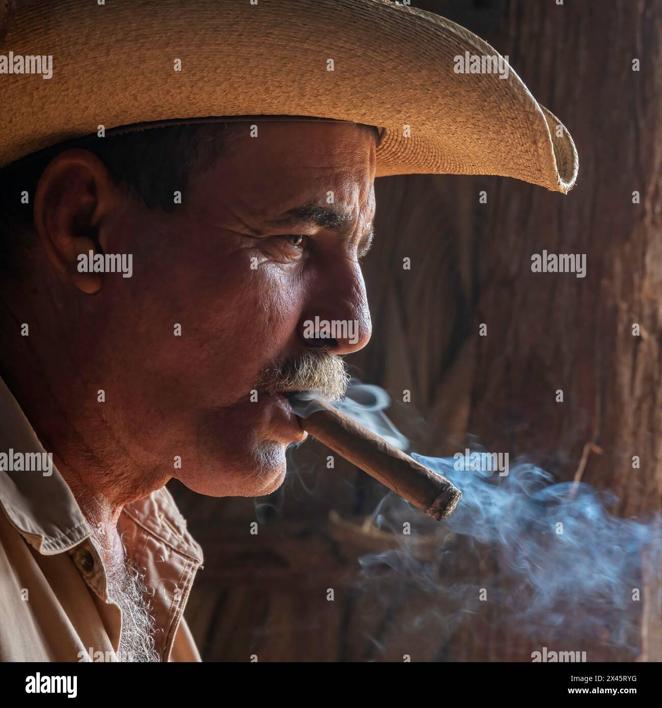 A moustached worker, wearing a cowboy hat, smoking a cigar in a drying ...