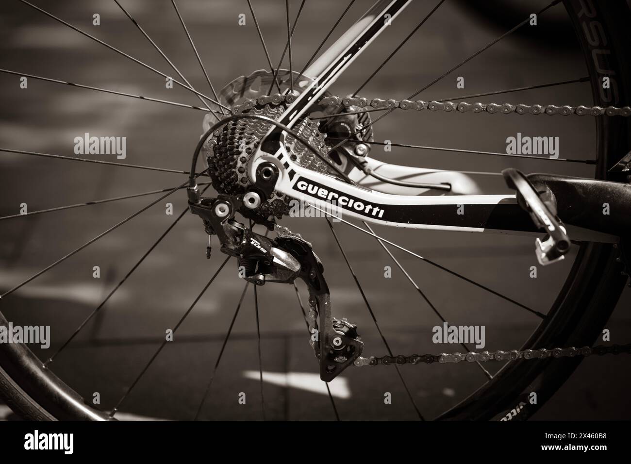 Cinturón Porta Número – Mas Outdoor | Deporte E Indumentaria Personalizada Ciclismo - Foto 9