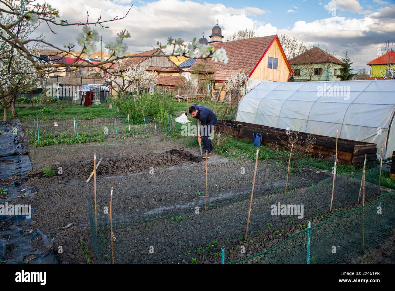 organic vegetable garden in early spring Stock Photo