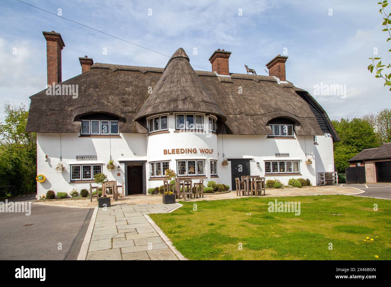 The Bleeding Wolf a thatched roofed  country pub and country inn in the Cheshire village of Scholar Green near Congleton , a Robinsons brewery pub Stock Photo