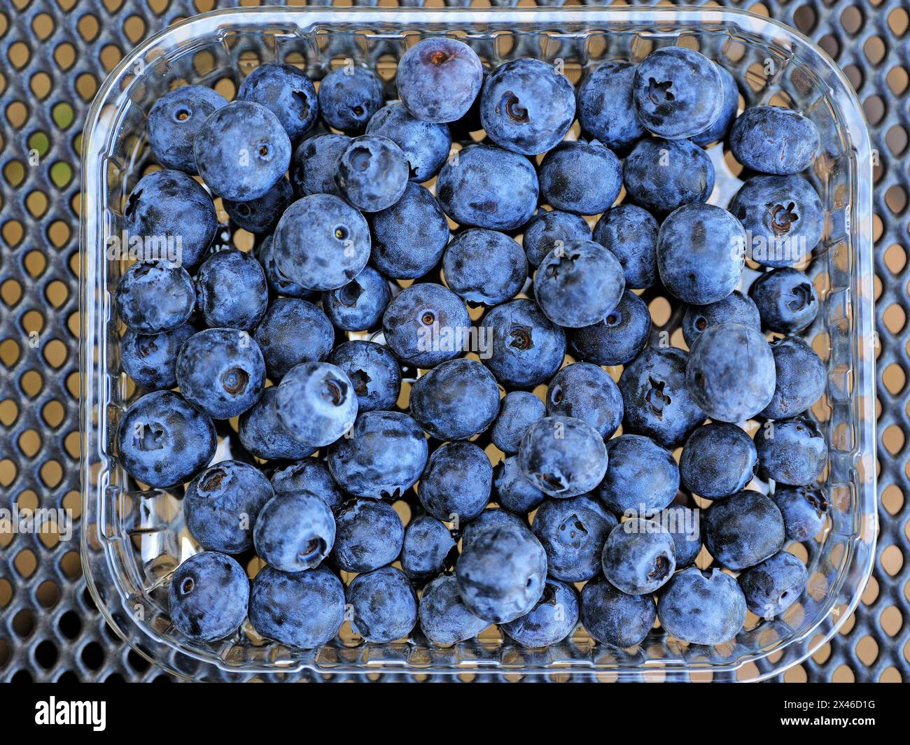 Healthy, delicious, antioxidant-rich blueberries! Boost immunity, heart health, brain function. Nature's supe Stock Photo