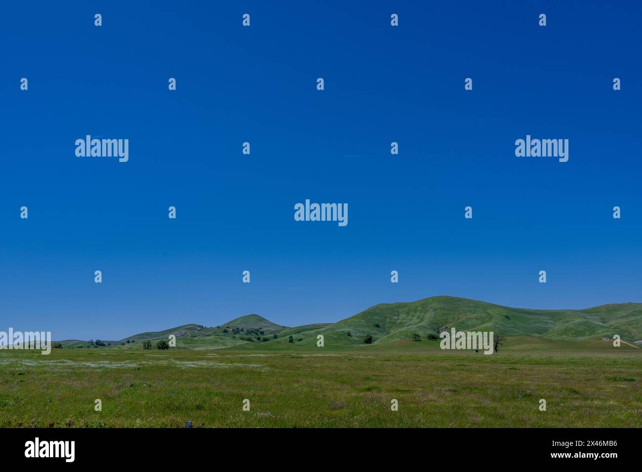 GREEN MEADOWS AND HILLS UNDER A BRIGHT BLUE SKY Stock Photo - Alamy