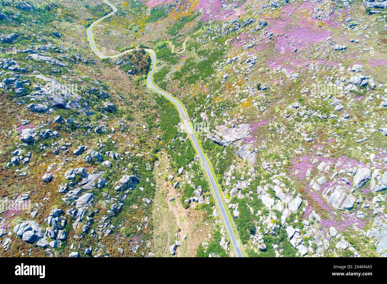 Drone view, aerial shot of a curvy road in a mountainous area in springtime. Galicia, Spain. Stock Photo